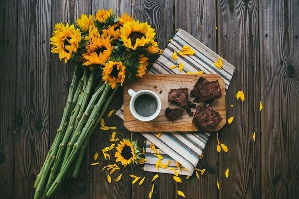 schokoladen-brownies